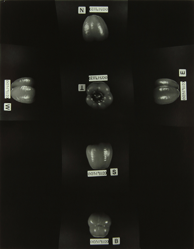 The Homegrown (Pandemic) Collection, 2020-2024