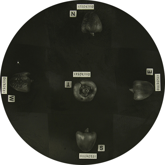 OFFO X Polish Festival of Pinhole Photography