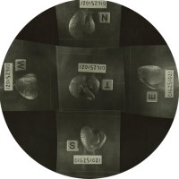 The Homegrown (Pandemic) Collection 2020-2024