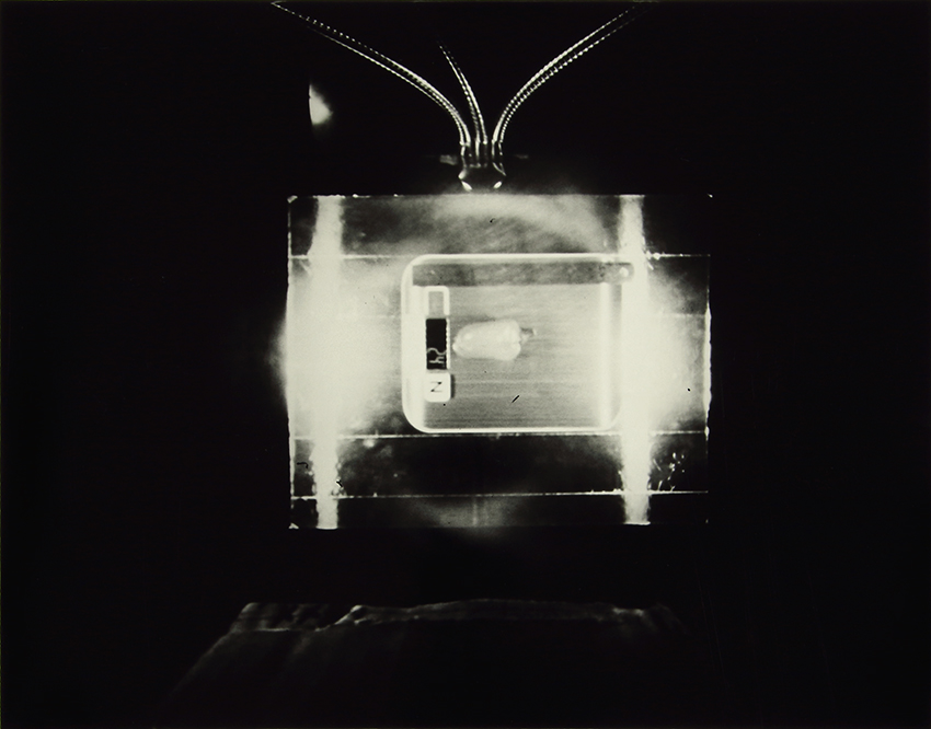 The Homegrown (Pandemic) Collection, 2020-2024