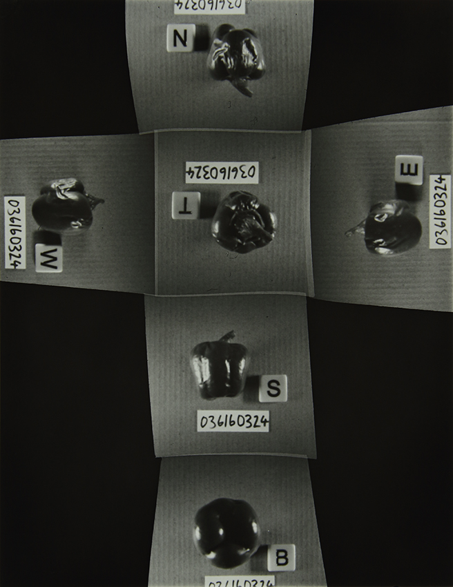 The Homegrown (Pandemic) Collection, 2020-2024