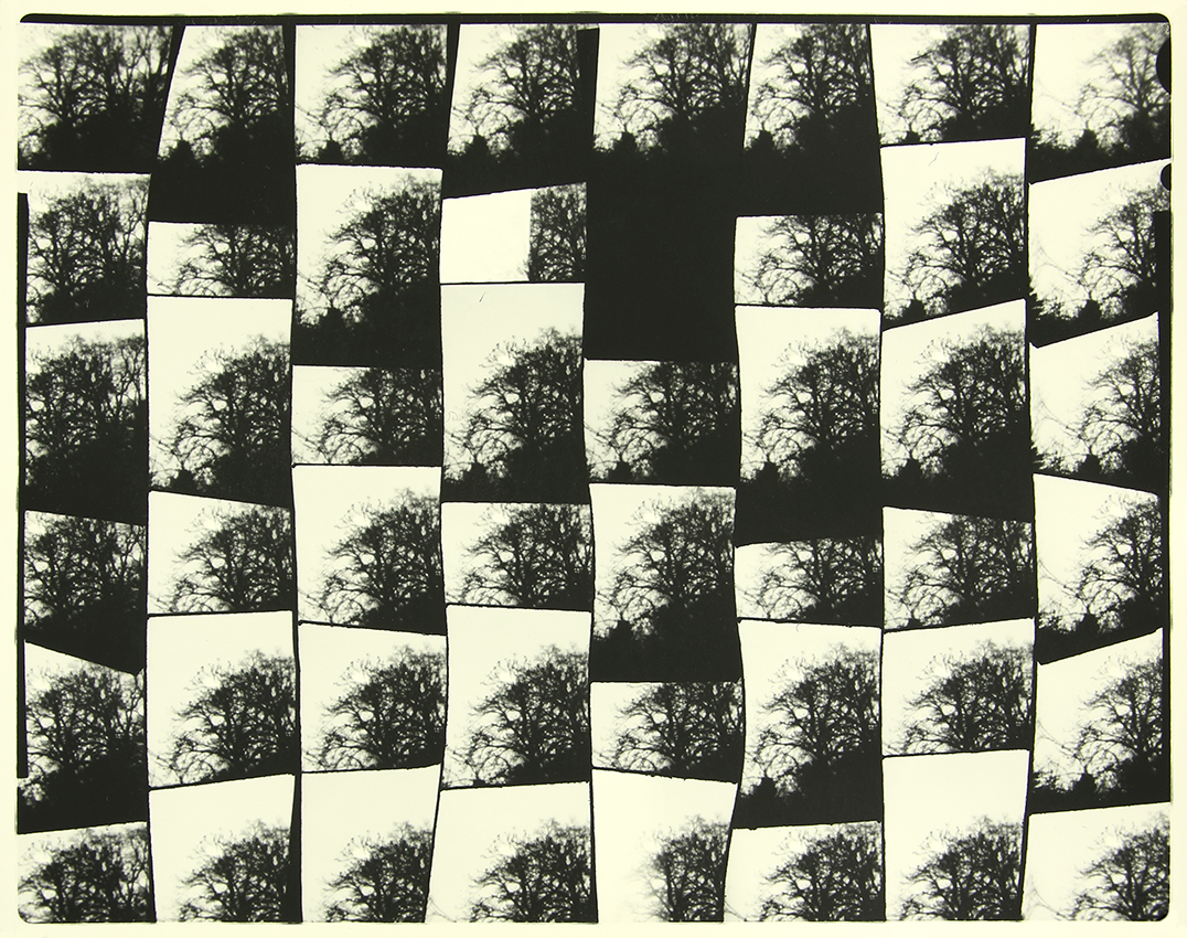 (Very) Nearly One Lunar Distance, 2020-